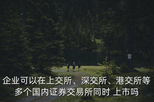 企業(yè)可以在上交所、深交所、港交所等多個(gè)國(guó)內(nèi)證券交易所同時(shí) 上市嗎