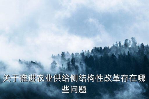 關(guān)于推進(jìn)農(nóng)業(yè)供給側(cè)結(jié)構(gòu)性改革存在哪些問題