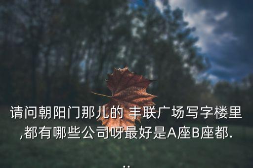 請(qǐng)問(wèn)朝陽(yáng)門(mén)那兒的 豐聯(lián)廣場(chǎng)寫(xiě)字樓里,都有哪些公司呀最好是A座B座都...