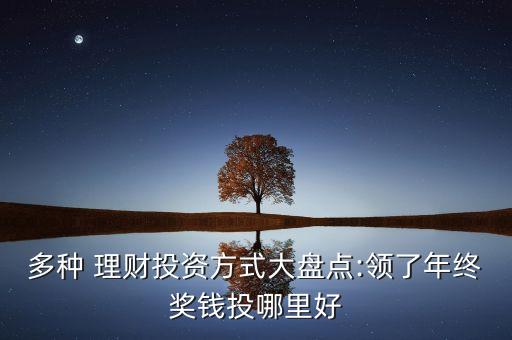 多種 理財投資方式大盤點(diǎn):領(lǐng)了年終獎錢投哪里好