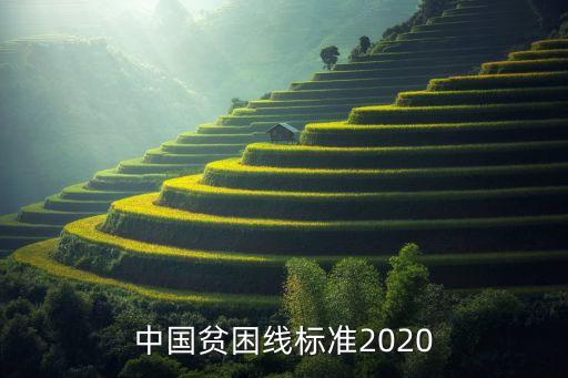 中國(guó)貧困線標(biāo)準(zhǔn)2020