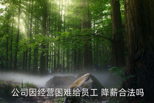  公司因經(jīng)營(yíng)困難給員工 降薪合法嗎