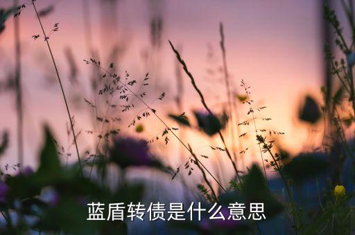 藍盾轉(zhuǎn)債是什么意思