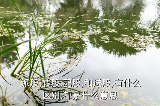  派股,轉(zhuǎn)股,配股,和送股,有什么區(qū)別,都是什么意思