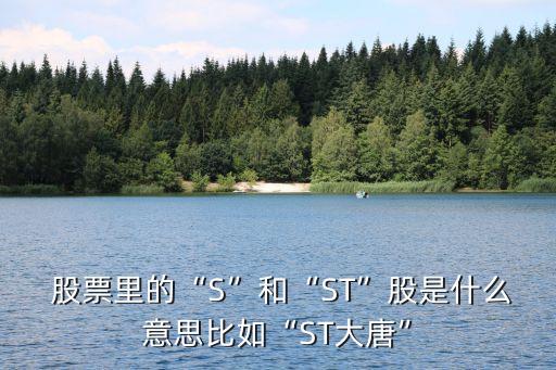  股票里的“S”和“ST”股是什么意思比如“ST大唐”