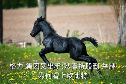 格力 集團(tuán)又出手:從零持股到 舉牌為何看上歐比特