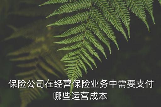  保險(xiǎn)公司在經(jīng)營(yíng)保險(xiǎn)業(yè)務(wù)中需要支付哪些運(yùn)營(yíng)成本