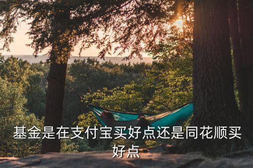  基金是在支付寶買(mǎi)好點(diǎn)還是同花順買(mǎi)好點(diǎn)