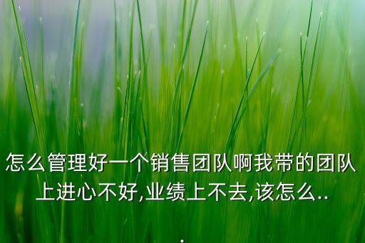 怎么管理好一個銷售團(tuán)隊啊我?guī)У膱F(tuán)隊上進(jìn)心不好,業(yè)績上不去,該怎么...