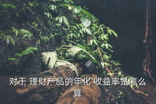 對于 理財產(chǎn)品的年化 收益率是怎么算