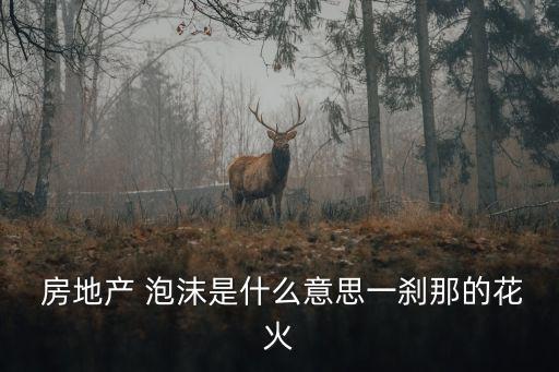  房地產(chǎn) 泡沫是什么意思一剎那的花火