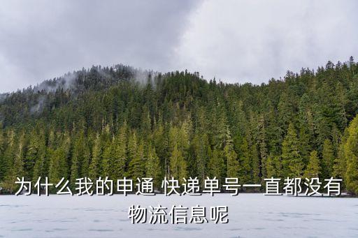 為什么我的申通 快遞單號一直都沒有物流信息呢