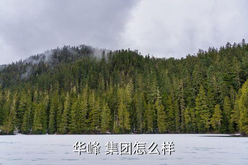 華峰 集團(tuán)怎么樣