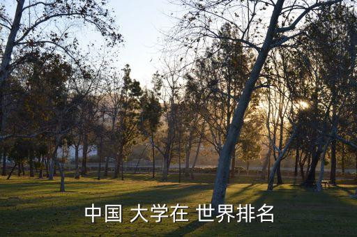 中國 大學在 世界排名