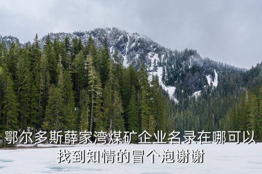 鄂爾多斯薛家灣煤礦企業(yè)名錄在哪可以找到知情的冒個泡謝謝