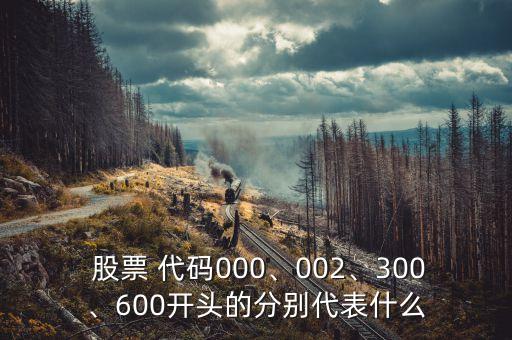  股票 代碼000、002、300、600開頭的分別代表什么