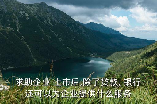 求助企業(yè) 上市后,除了貸款, 銀行還可以為企業(yè)提供什么服務(wù)