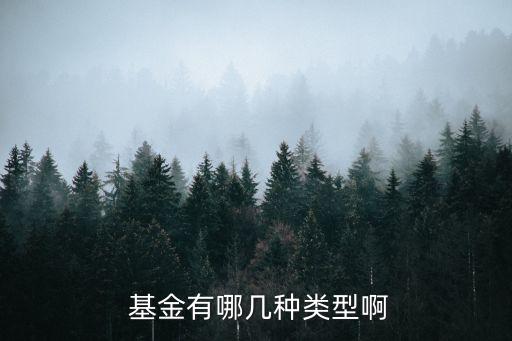 根據(jù)投資標的的劃分基金可分為