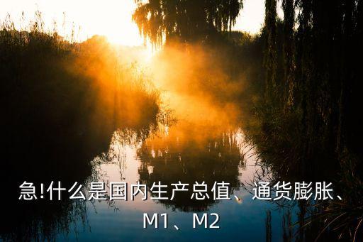 急!什么是國內(nèi)生產(chǎn)總值、通貨膨脹、M1、M2