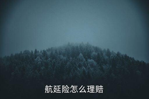 航延險怎么理賠