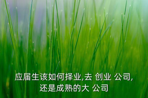 應屆生該如何擇業(yè),去 創(chuàng)業(yè) 公司,還是成熟的大 公司