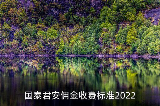 國泰君安傭金收費(fèi)標(biāo)準(zhǔn)2022