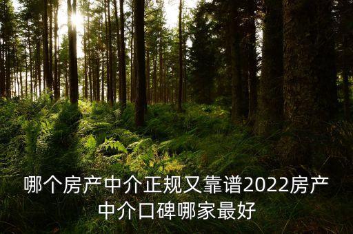 哪個房產(chǎn)中介正規(guī)又靠譜2022房產(chǎn)中介口碑哪家最好