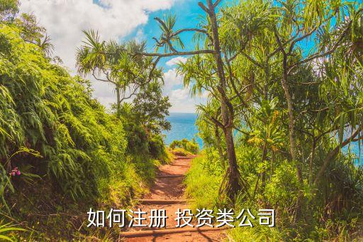 如何注冊(cè) 投資類公司