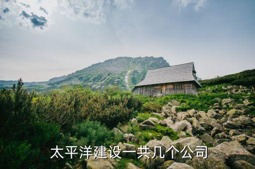  太平洋建設(shè)一共幾個公司