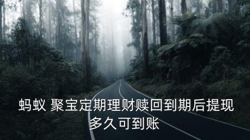  螞蟻 聚寶定期理財贖回到期后提現(xiàn)多久可到賬