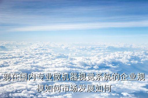 現(xiàn)在國內(nèi)專業(yè)做機(jī)器視覺系統(tǒng)的企業(yè)規(guī)模如何市場發(fā)展如何