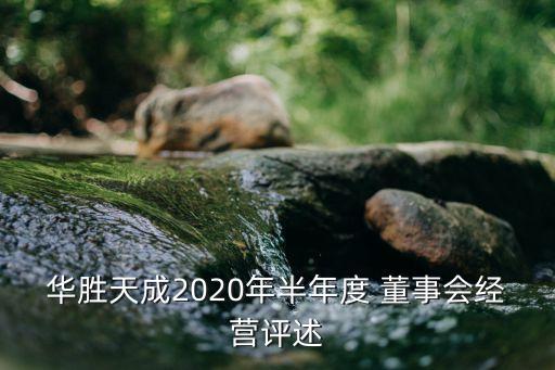 華勝天成2020年半年度 董事會經營評述