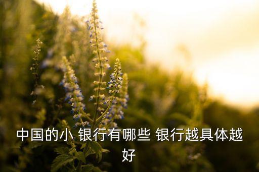 中國的小 銀行有哪些 銀行越具體越好