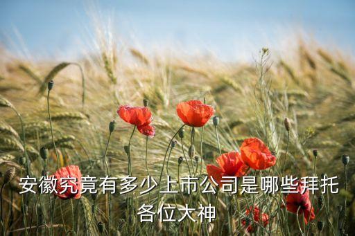  安徽究竟有多少上市公司是哪些拜托各位大神