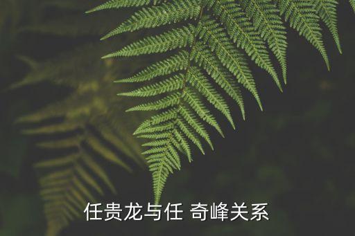 任貴龍與任 奇峰關系