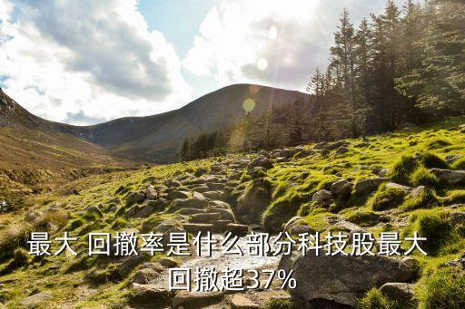 最大 回撤率是什么部分科技股最大 回撤超37%