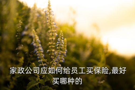 上海家政服務(wù)綜合保險卡二代