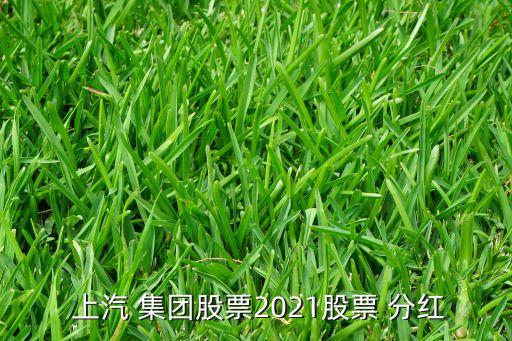  上汽 集團股票2021股票 分紅