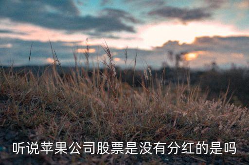 聽說(shuō)蘋果公司股票是沒(méi)有分紅的是嗎