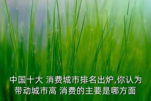 中國十大 消費(fèi)城市排名出爐,你認(rèn)為帶動城市高 消費(fèi)的主要是哪方面