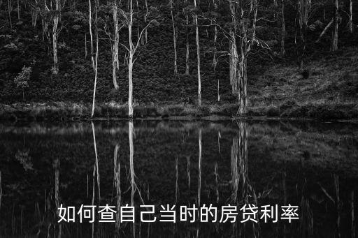 中國(guó)人民銀行貸款利息查詢,2022年中國(guó)人民銀行貸款利息