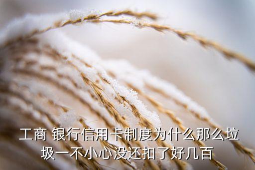  工商 銀行信用卡制度為什么那么垃圾一不小心沒還扣了好幾百