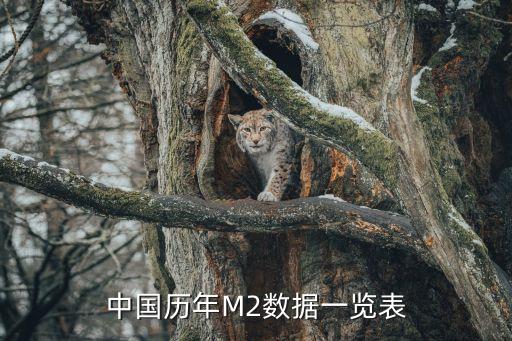 中國歷年M2數(shù)據(jù)一覽表