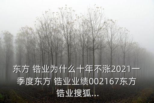 東方 鋯業(yè)為什么十年不漲2021一季度東方 鋯業(yè)業(yè)績(jī)002167東方 鋯業(yè)搜狐...