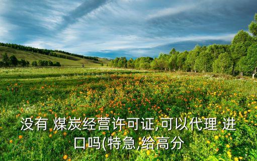 中國進(jìn)口煤炭需要證書嗎