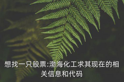 想找一只股票:渤?；で笃洮F(xiàn)在的相關(guān)信息和代碼