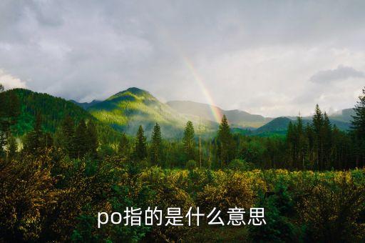 po指的是什么意思