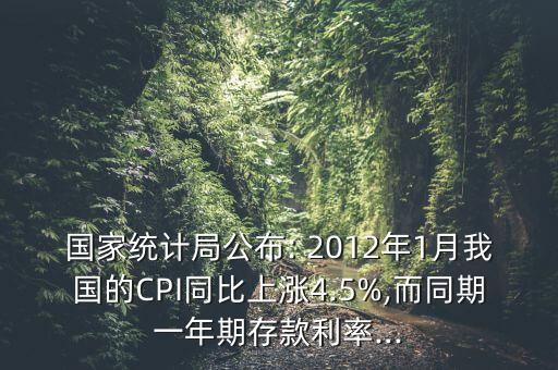 國(guó)家統(tǒng)計(jì)局公布: 2012年1月我國(guó)的CPI同比上漲4.5%,而同期一年期存款利率...