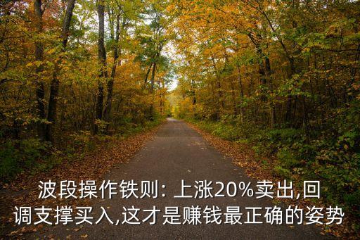 波段操作鐵則: 上漲20%賣出,回調(diào)支撐買入,這才是賺錢最正確的姿勢