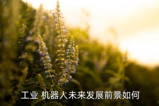 中國工業(yè)機(jī)器人的需求最新預(yù)計(jì)